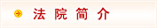 民权县法院网